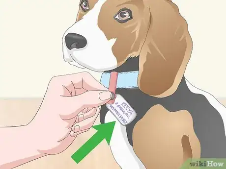 Image titled Pack for Your Dog Step 10