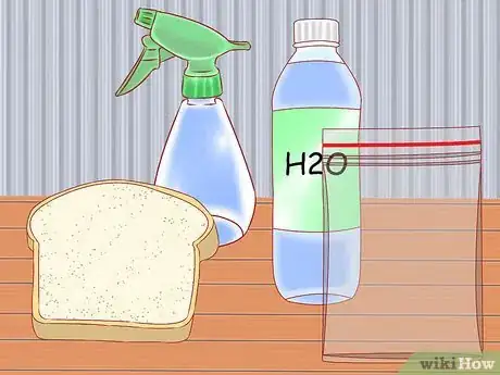 Image titled Make Mold Grow on Bread Step 1