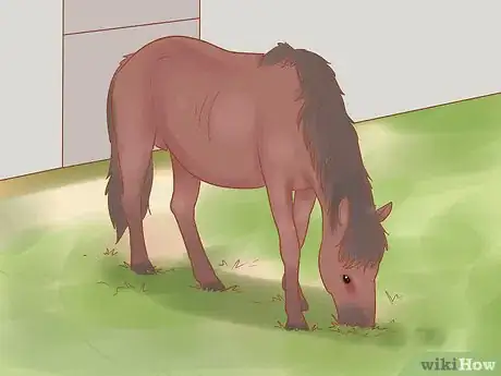 Image titled Uncast a Horse Step 15