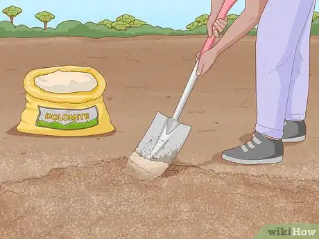 Image titled Start a Tree Farm Step 12