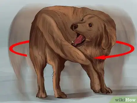 Image titled Tell if Your Dog Is Having a Medical Emergency Step 14