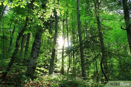 Image titled Make a Simple Solar Viewer Step 10