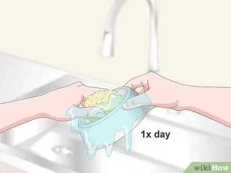 Image titled Clean and Maintain Lory and Lorikeet Habitats Step 12