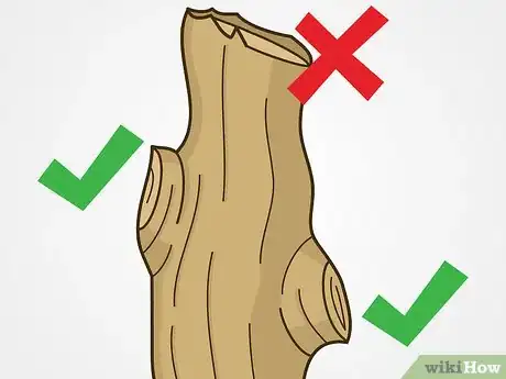 Image titled Trim Trees Step 14