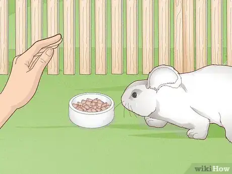 Image titled Have Healthy Relationships with Animals Step 5