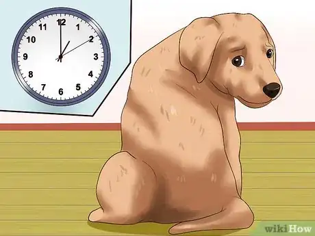 Image titled Get Your Puppy to Stop Biting Step 20
