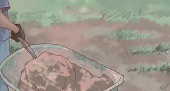 Prepare Your Garden for Winter