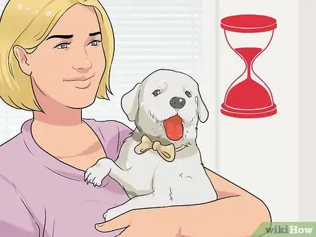 Image titled Dress Your Dog Step 12