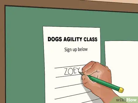 Image titled Exercise Your Dog Step 11