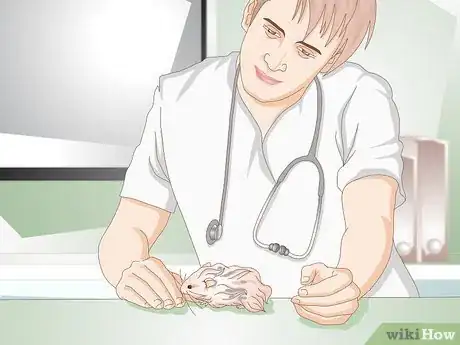 Image titled Clean a Long Haired Hamster Step 9