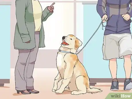 Image titled Set Consistent Limits for a New Dog Step 8