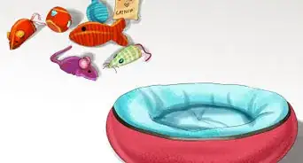 Choose a Cat‐Friendly Vacation Destination