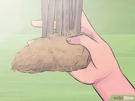 Image titled Prune Spirea Shrubs Step 13