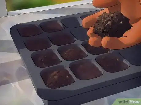 Image titled Grow Plants from Seed Step 4