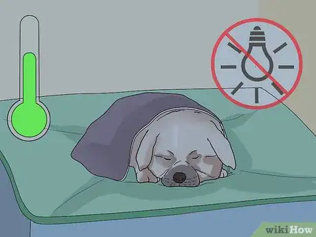 Image titled Socialize Orphaned Newborn Puppies Step 2