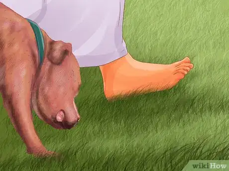 Image titled Give Your Large Dog Enough Exercise Step 6