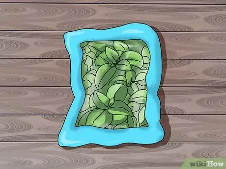 Image titled Grow Coleus Step 1