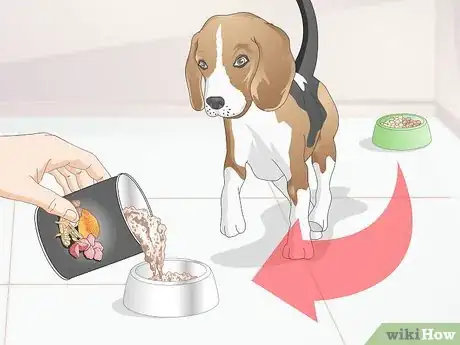 Image titled Transition from Puppy to Adult Dog Food Step 8