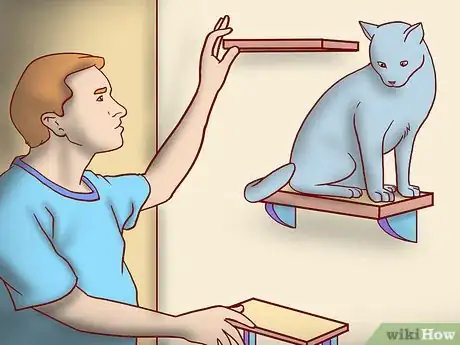 Image titled Create More Space for Your Cat Step 2