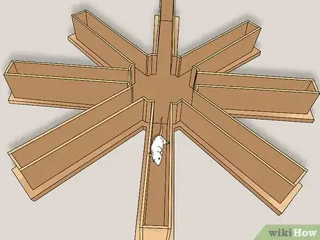 Image titled Train a Rat to Run a Maze or Obstacle Course Step 10