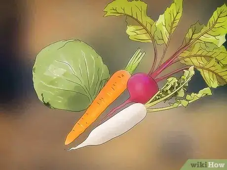 Image titled Plant a Fall Vegetable Garden Step 3