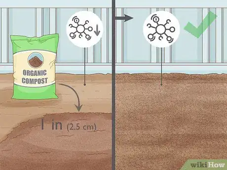 Image titled Plant Parsnips Step 4