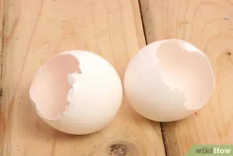 Image titled Recycle Eggshells in Gardening Activities Step 1Bullet1