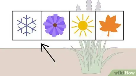 Image titled Plant Monkey Grass Step 5