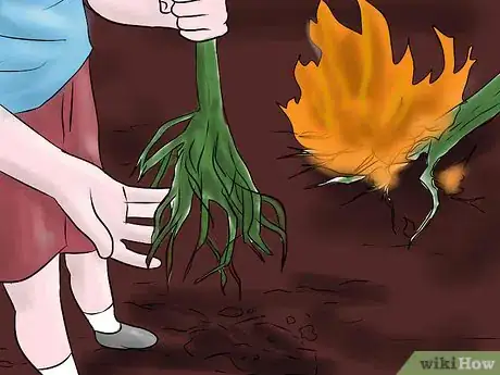 Image titled Get Rid of Sunflowers Step 5