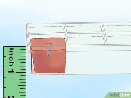 Image titled Grow Biennials Successfully Step 5