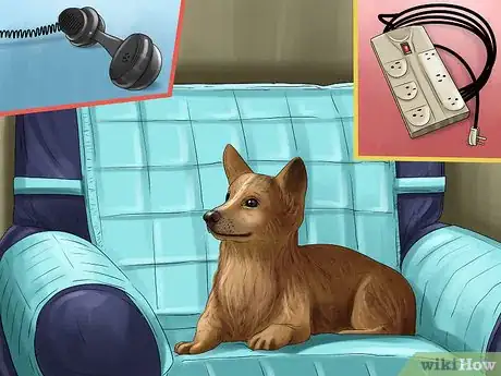 Image titled Care for a Rescued Dog Step 1