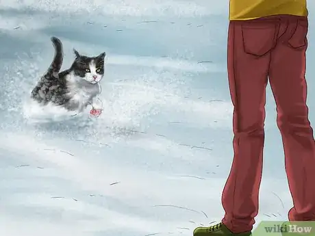 Image titled Get a Cat Used to Snow Step 4