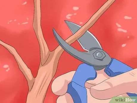 Image titled Prune Burning Bush Step 7