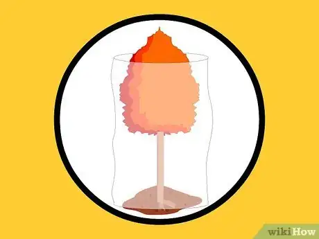 Image titled Prepare Newly Planted Trees for Winter Step 4