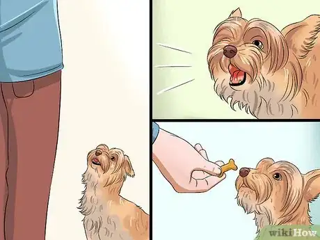 Image titled Teach Your Dog to Speak Step 5