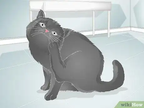 Image titled Put Your Cat on a Limited Ingredient Diet Step 8