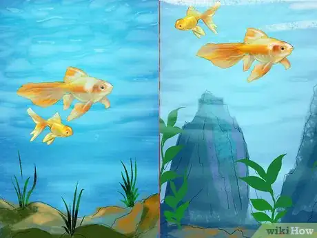 Image titled Keep Your Pet Occupied when You Are Not at Home Step 7