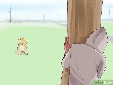 Image titled Get Your Dog to Follow You Step 12