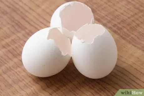 Image titled Recycle Eggshells in Gardening Activities Step 3Bullet1