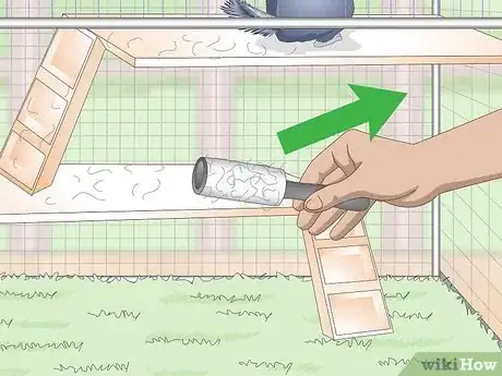 Image titled Prevent Chinchillas from Developing Hairballs Step 4