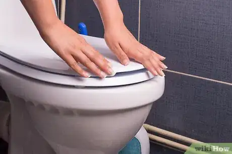 Image titled Cat Proof Your Toilet Step 1