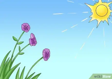 Image titled Cut from a Pansy Plant Step 12Bullet1