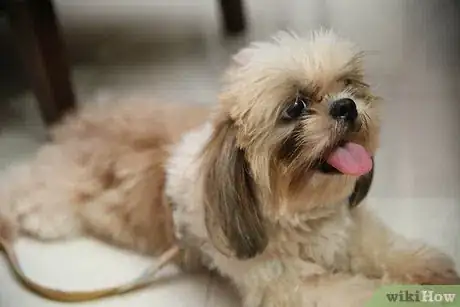 Image titled Pass Time on Christmas Eve Step 12