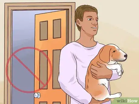 Image titled Prevent Older Dogs from Creating Lick or Scratch Sores Step 5