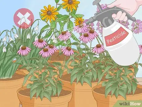 Image titled How Do Insects Help a Plant to Reproduce Step 11