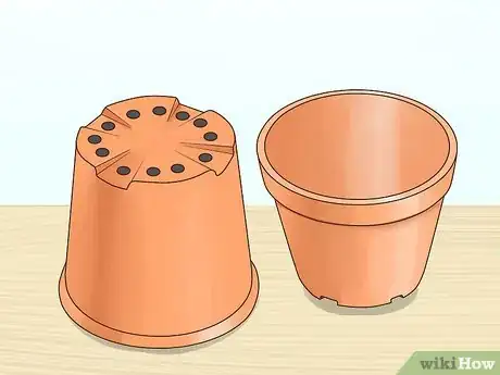 Image titled Plant Date Seeds Step 10