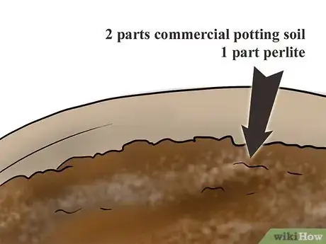 Image titled Plant Plumeria Seeds Step 2Bullet1