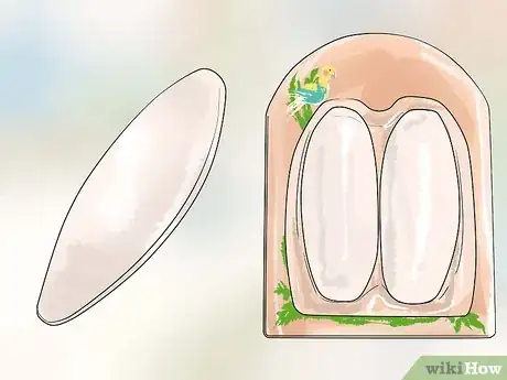 Image titled Keep Cockatiels Healthy While Breeding Step 4