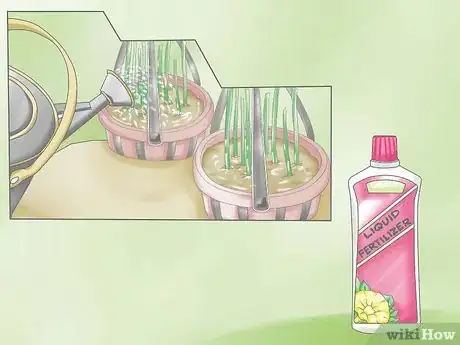 Image titled Deadhead Petunias Step 13