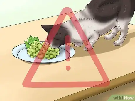 Image titled Protect Your Cat from Holiday Hazards Step 1